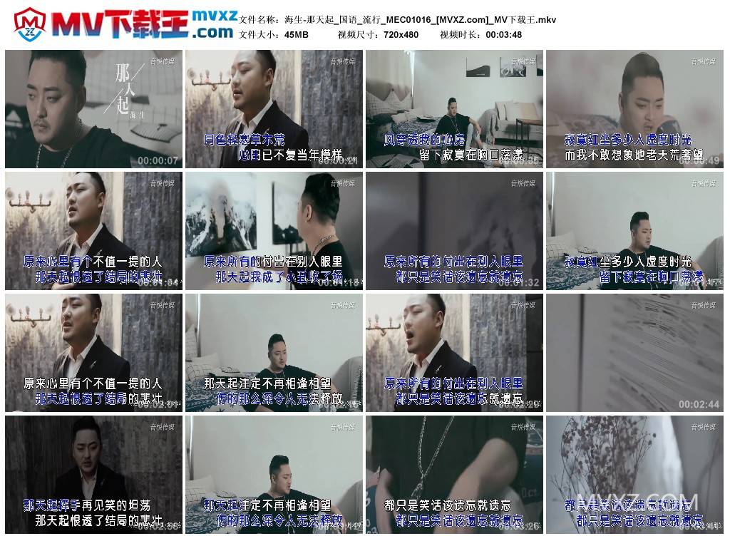 海生-那天起_国语_流行_MEC01016